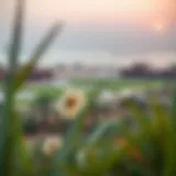 A panoramic view of Ras Al Khor Sanctuary showcasing its diverse ecosystems