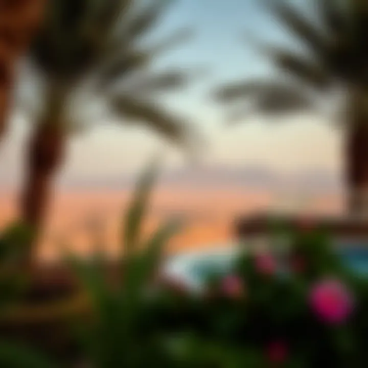 Scenic landscapes surrounding Reem Hills