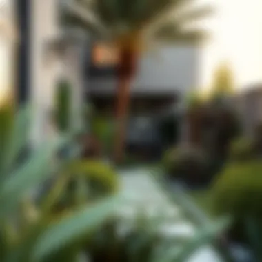 Diverse Plant Selections in Residential Landscaping A breathtaking residential garden displaying diverse plant selections and design elements