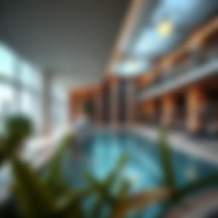 Amenities available at Savoy Park Hotel Apartments, including pool and fitness center