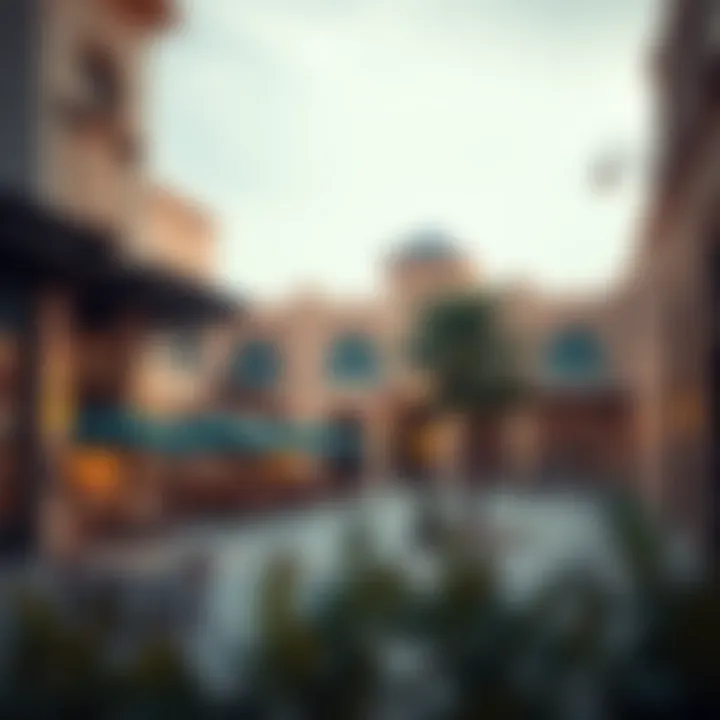 Local amenities enhancing lifestyle in Souq Badr