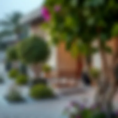 Neighborhood amenities surrounding studio flats in Muhaisnah 4