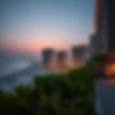 Investment opportunities in Sur La Mer