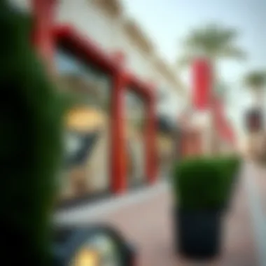 Vibrant storefronts displaying a variety of luxury brands available at the Outlet Village