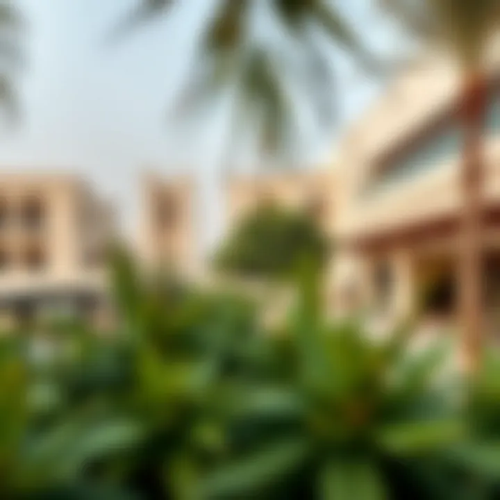 Vibrant community spaces within New Dubai neighborhoods