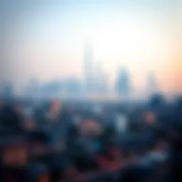 A panoramic view of Dubai's skyline showcasing residential areas