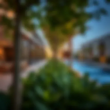 Inviting Outdoor Spaces and Amenities Beautifully landscaped outdoor amenities at The Terraces Meydan