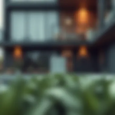 Understanding Professional Movers: An In-Depth Analysis Summary