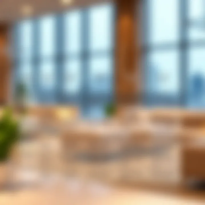 Appeal Processes for Visa Overstays Chart showing appeal processes for visa overstays